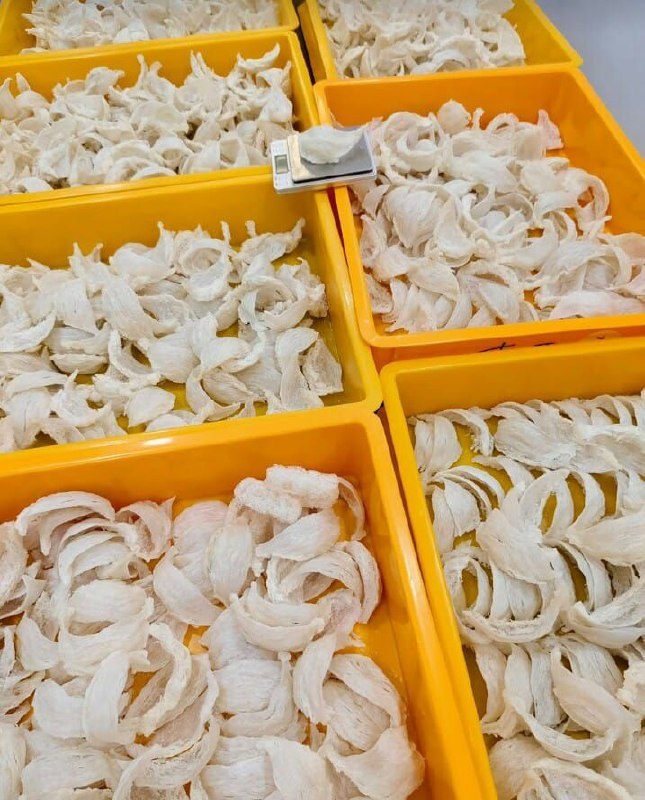 Nest material organized in yellow trays for sorting